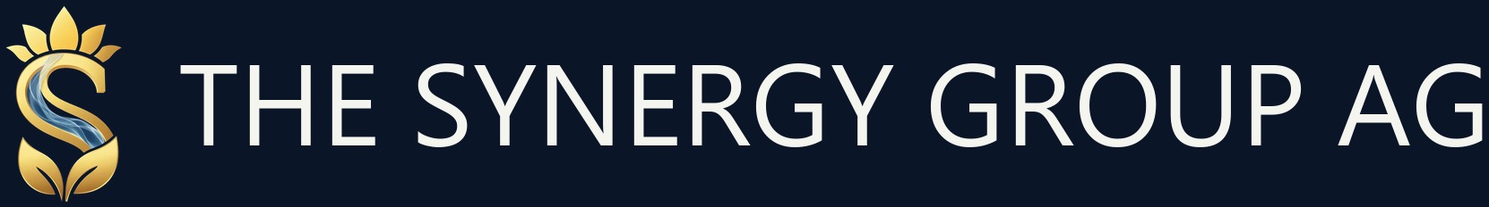 The Synergy Group AG
